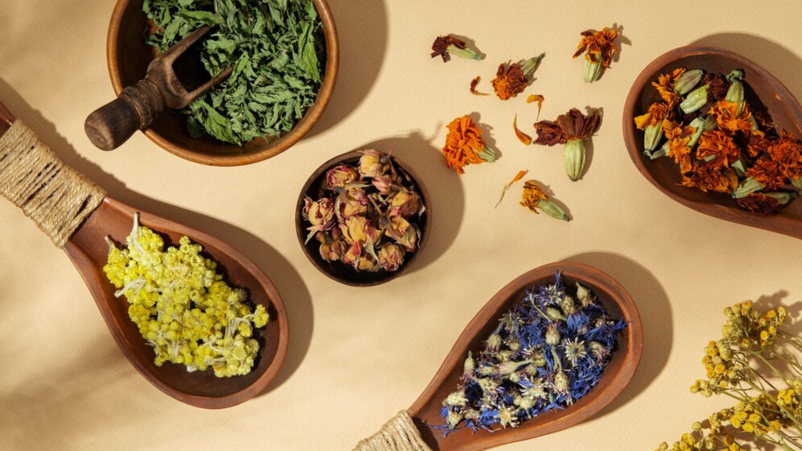 10 Ayurvedic Herbs to Naturally Reduce Cholesterol Levels