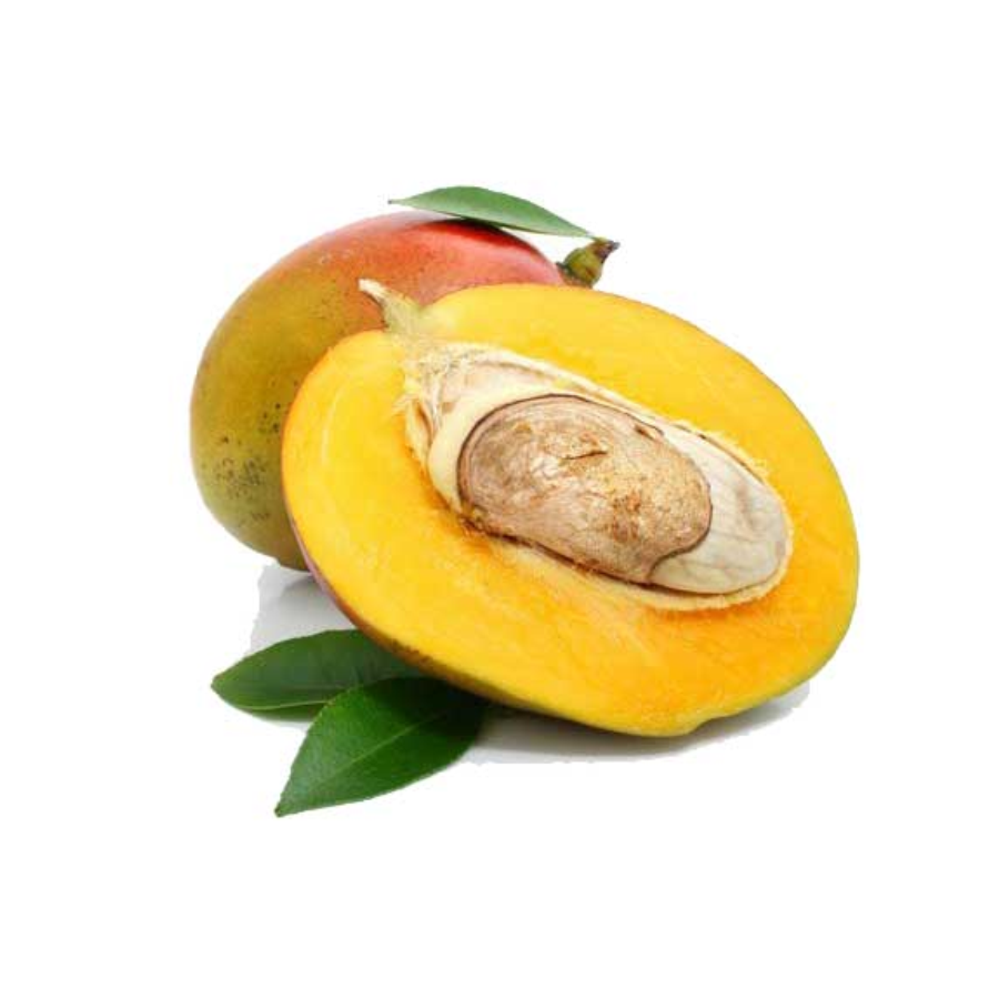 Mango Seed